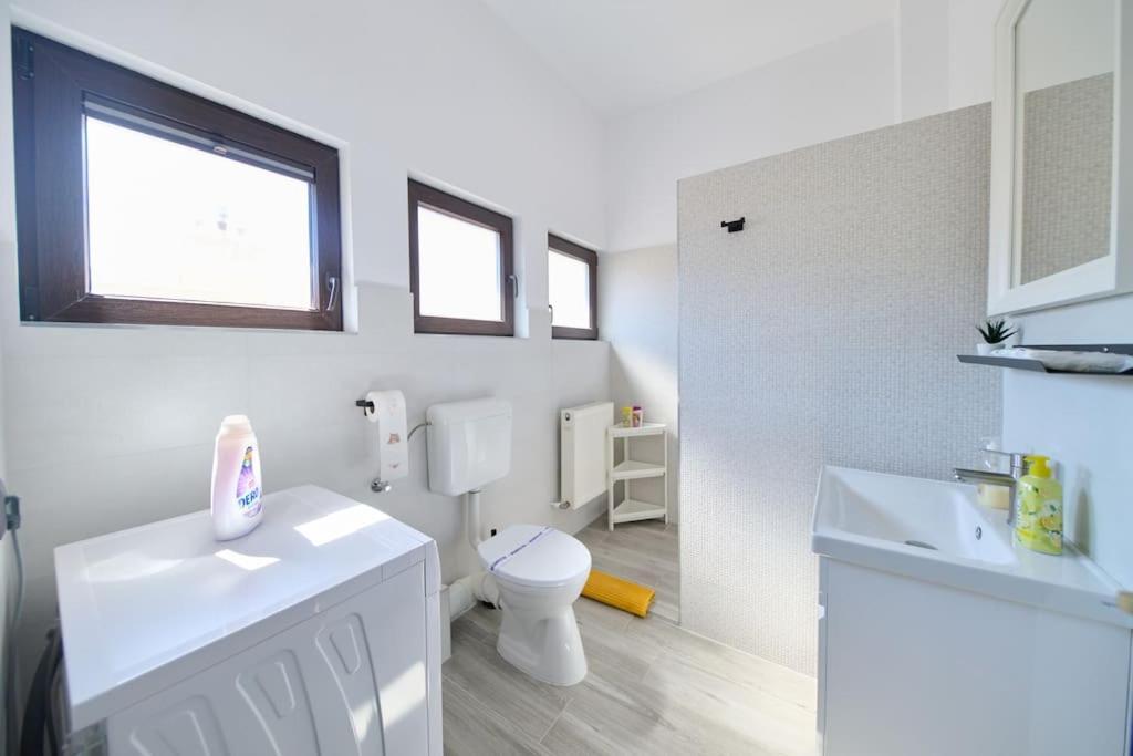 Central Old Town Oasis - Ap 6 Bukarest Kültér fotó