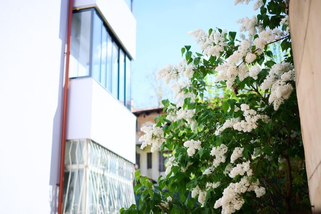 Central Old Town Oasis - Ap 6 Bukarest Kültér fotó